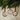 Emmanuel, Peace, Hope - Bauble Set - Matthew 1:23; Matthew 12:21; Luke 2:13-14